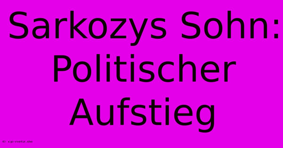 Sarkozys Sohn:  Politischer Aufstieg