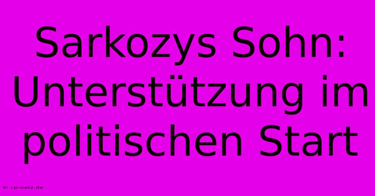 Sarkozys Sohn:  Unterstützung Im Politischen Start