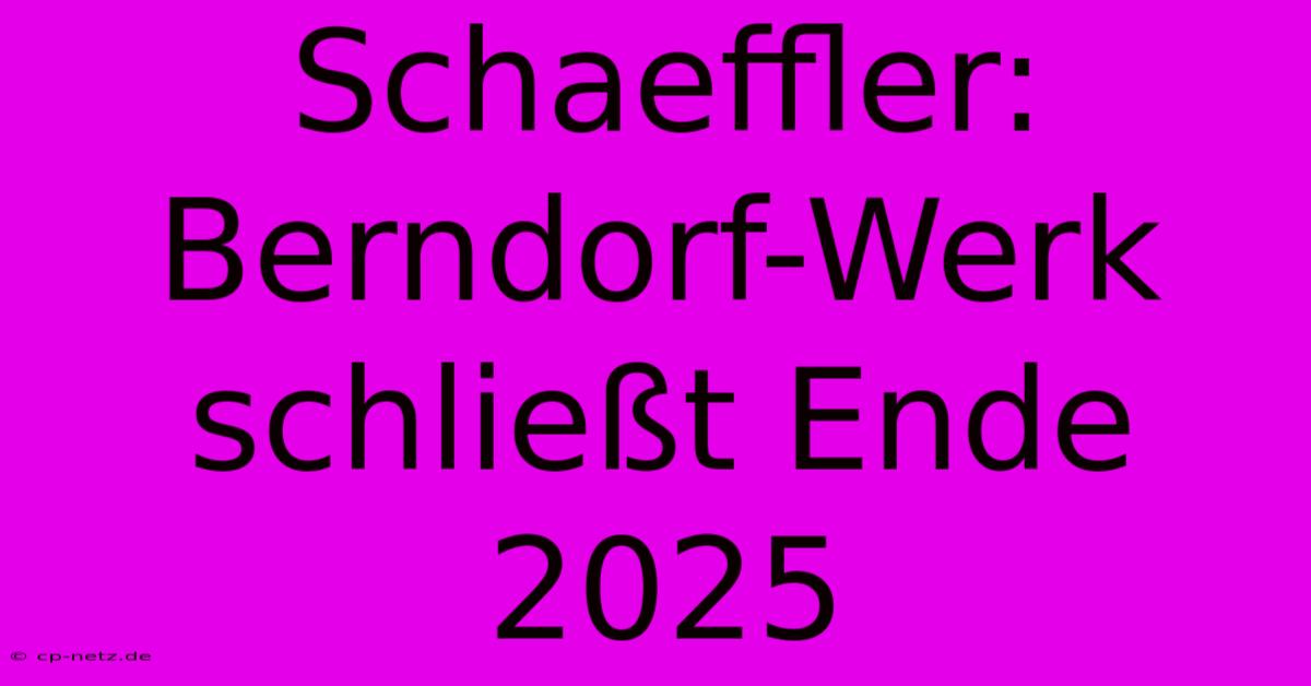 Schaeffler: Berndorf-Werk Schließt Ende 2025