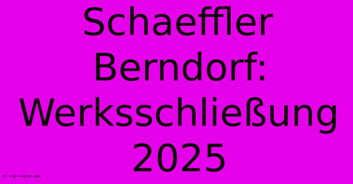 Schaeffler Berndorf: Werksschließung 2025