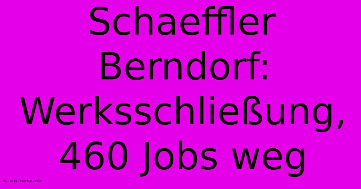 Schaeffler Berndorf: Werksschließung, 460 Jobs Weg