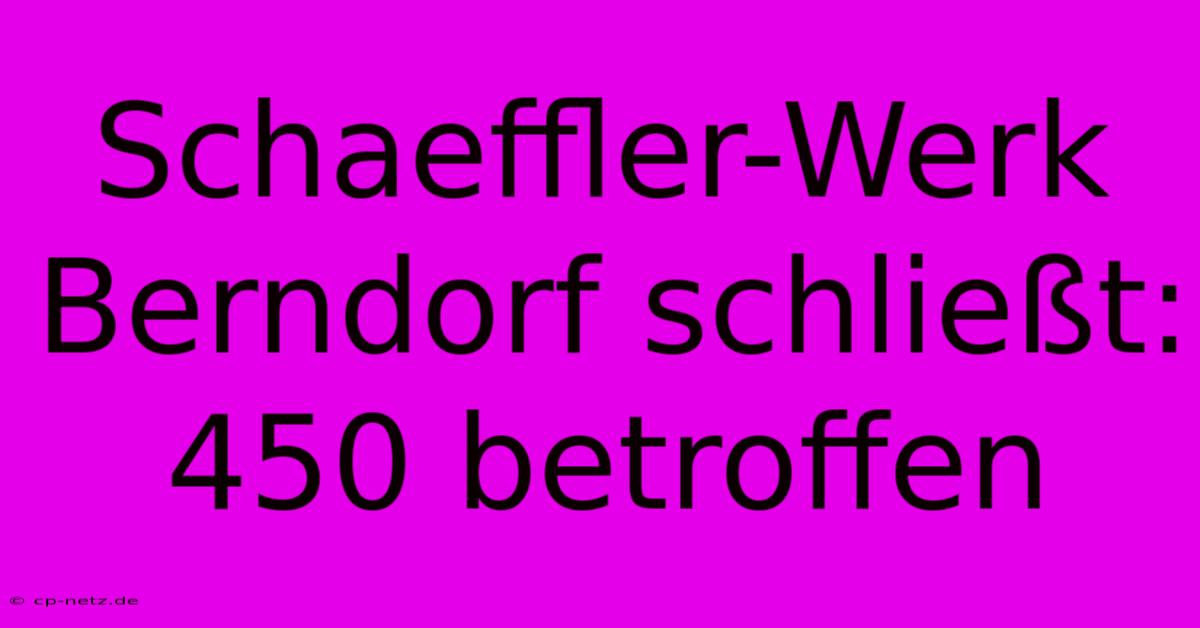 Schaeffler-Werk Berndorf Schließt: 450 Betroffen