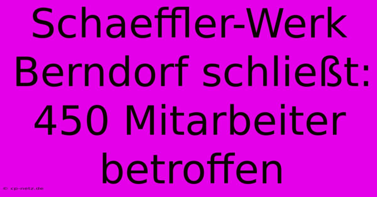 Schaeffler-Werk Berndorf Schließt: 450 Mitarbeiter Betroffen