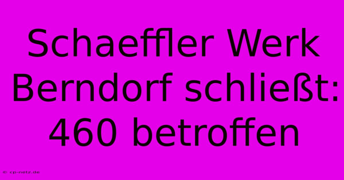 Schaeffler Werk Berndorf Schließt: 460 Betroffen