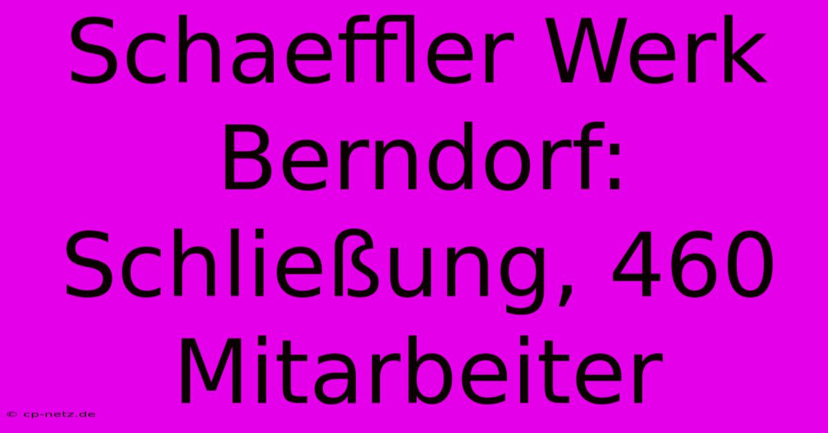 Schaeffler Werk Berndorf: Schließung, 460 Mitarbeiter