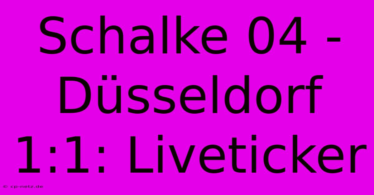 Schalke 04 - Düsseldorf 1:1: Liveticker