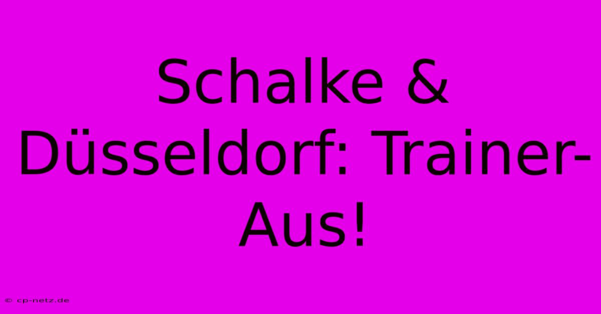 Schalke & Düsseldorf: Trainer-Aus!