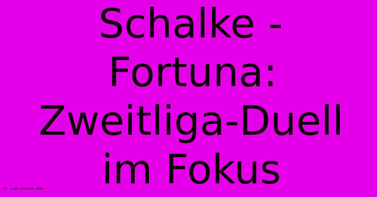 Schalke - Fortuna: Zweitliga-Duell Im Fokus