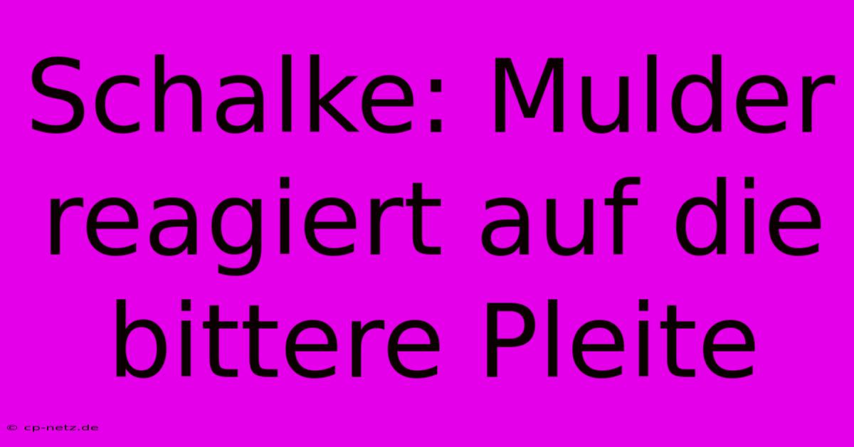 Schalke: Mulder Reagiert Auf Die Bittere Pleite