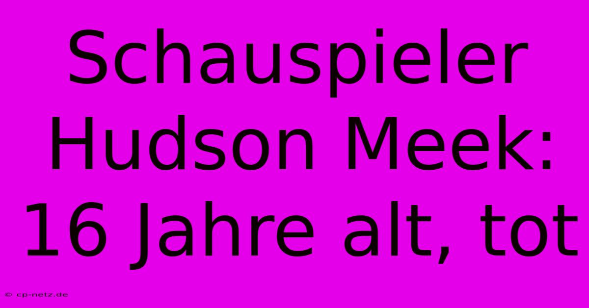 Schauspieler Hudson Meek: 16 Jahre Alt, Tot