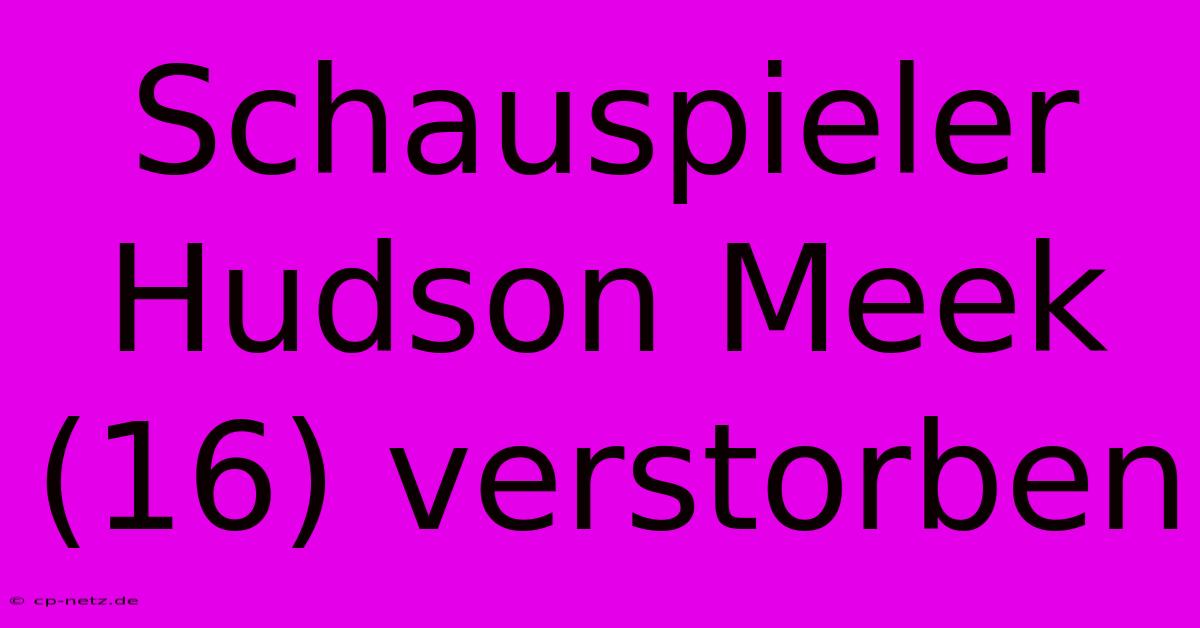 Schauspieler Hudson Meek (16) Verstorben