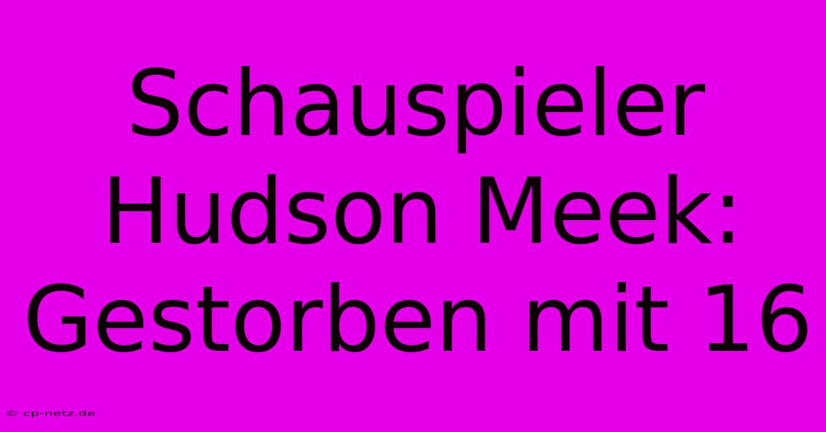 Schauspieler Hudson Meek: Gestorben Mit 16