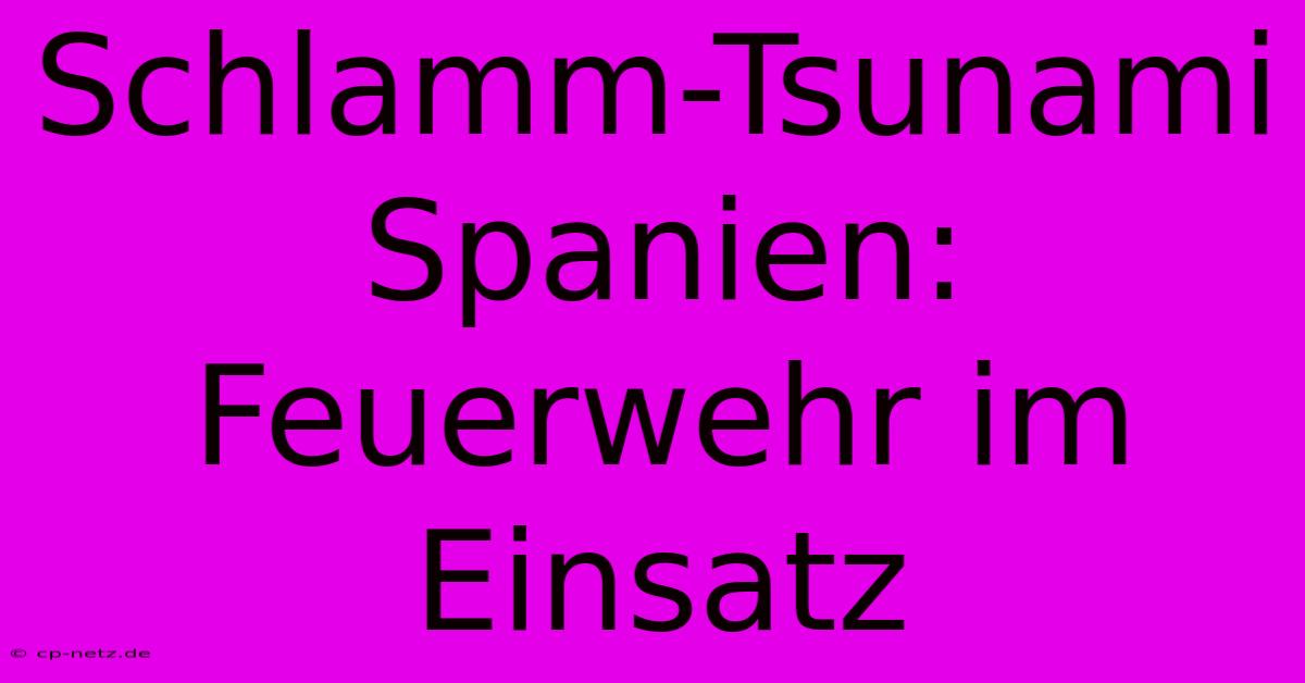 Schlamm-Tsunami Spanien: Feuerwehr Im Einsatz