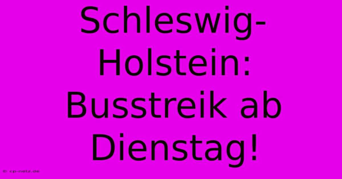 Schleswig-Holstein: Busstreik Ab Dienstag!