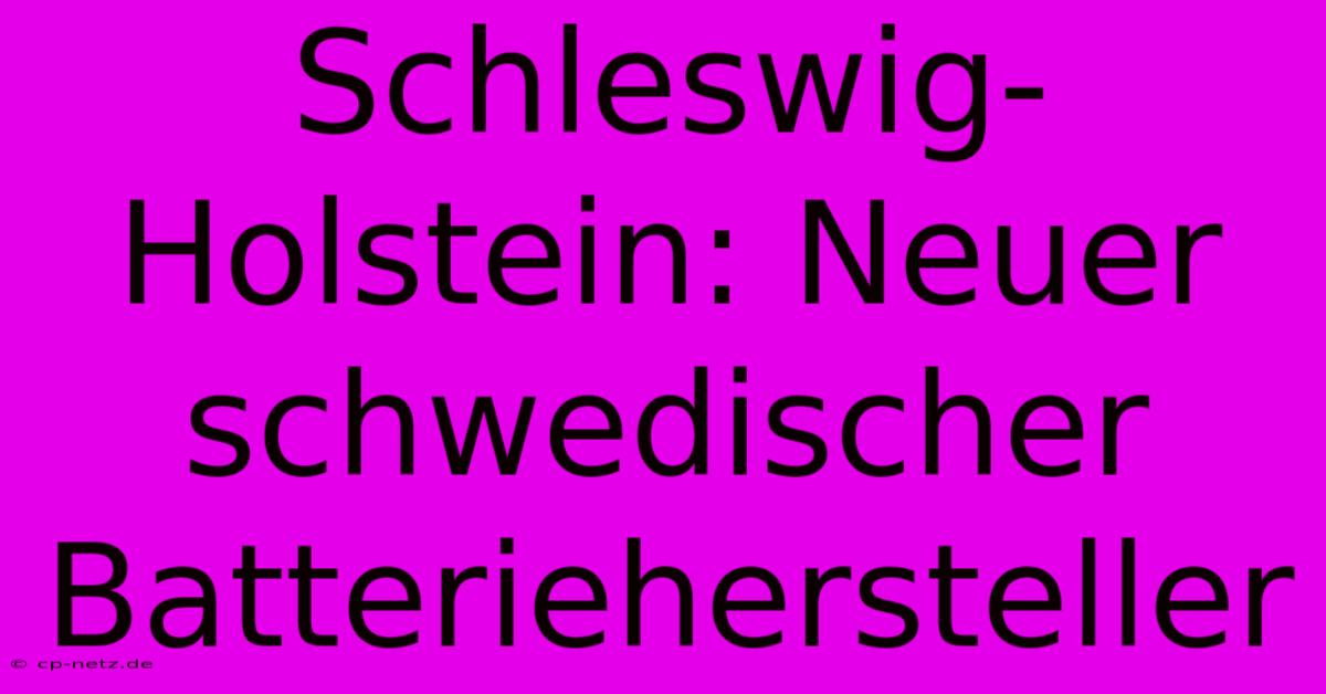 Schleswig-Holstein: Neuer Schwedischer Batteriehersteller