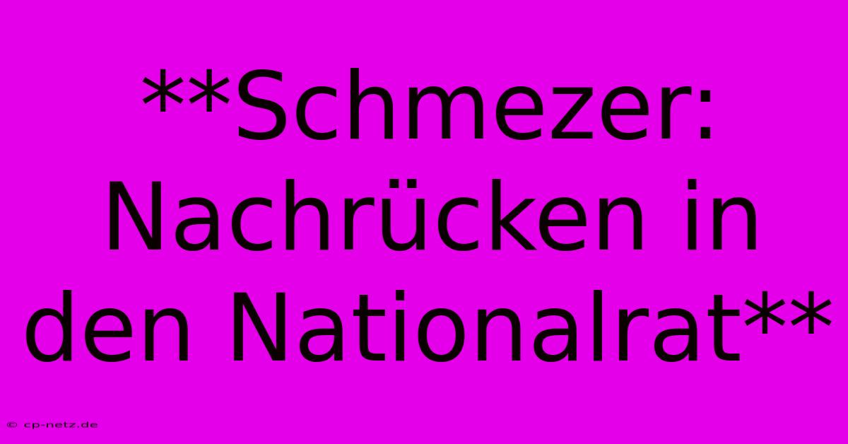 **Schmezer: Nachrücken In Den Nationalrat**