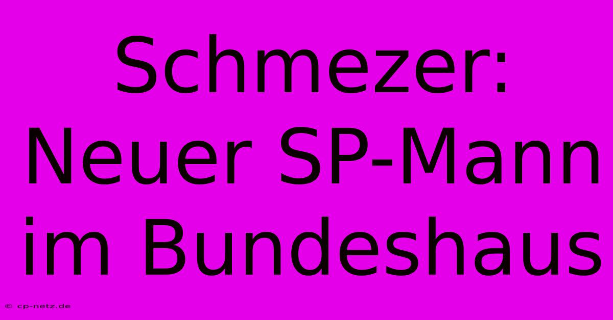 Schmezer: Neuer SP-Mann Im Bundeshaus