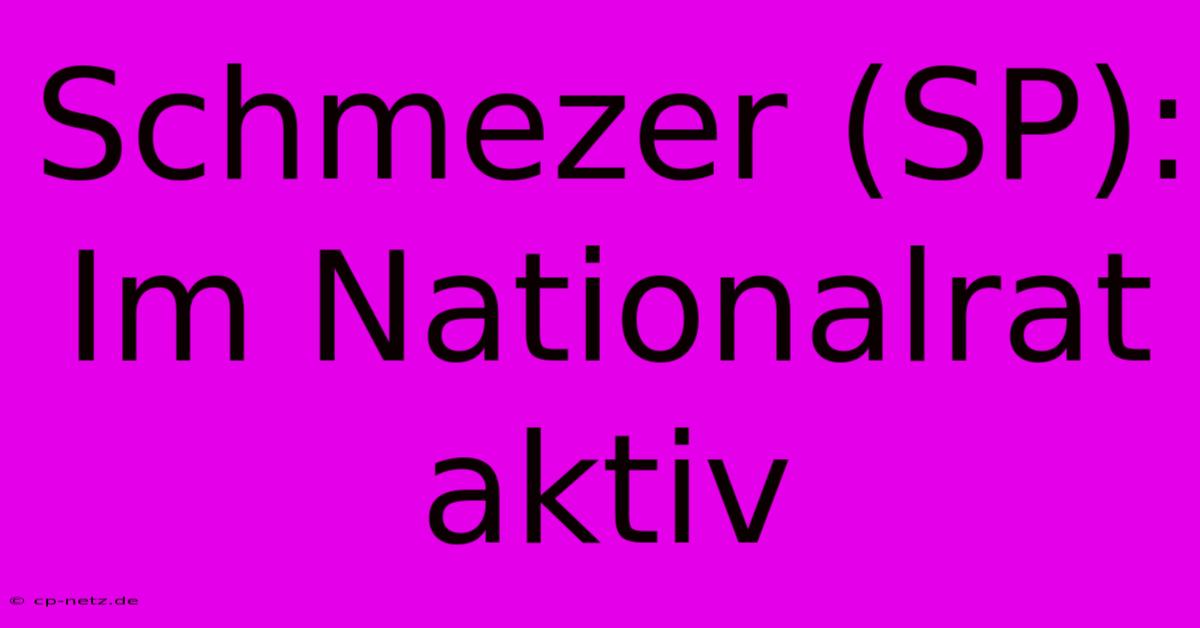 Schmezer (SP): Im Nationalrat Aktiv