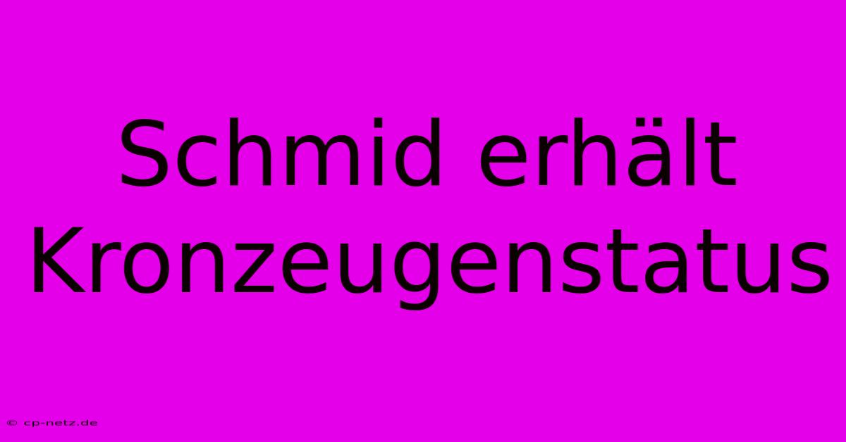 Schmid Erhält Kronzeugenstatus