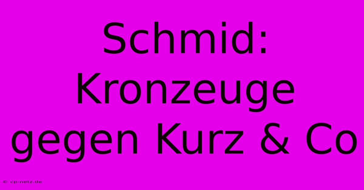 Schmid: Kronzeuge Gegen Kurz & Co