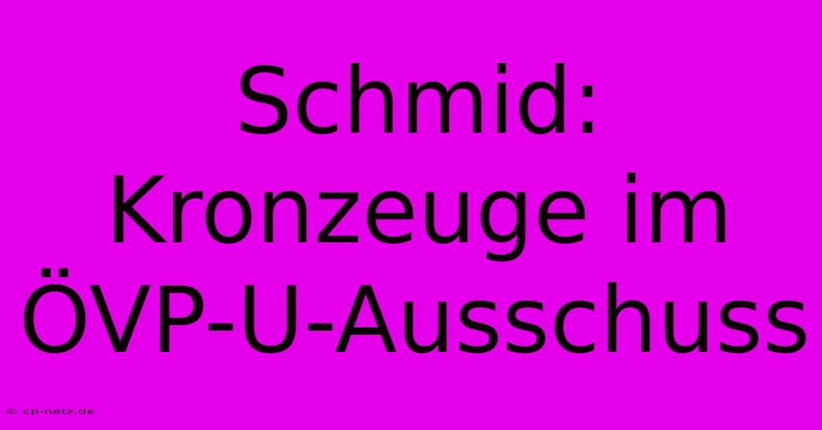 Schmid: Kronzeuge Im ÖVP-U-Ausschuss