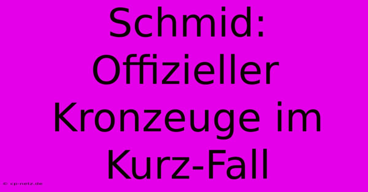 Schmid: Offizieller Kronzeuge Im Kurz-Fall