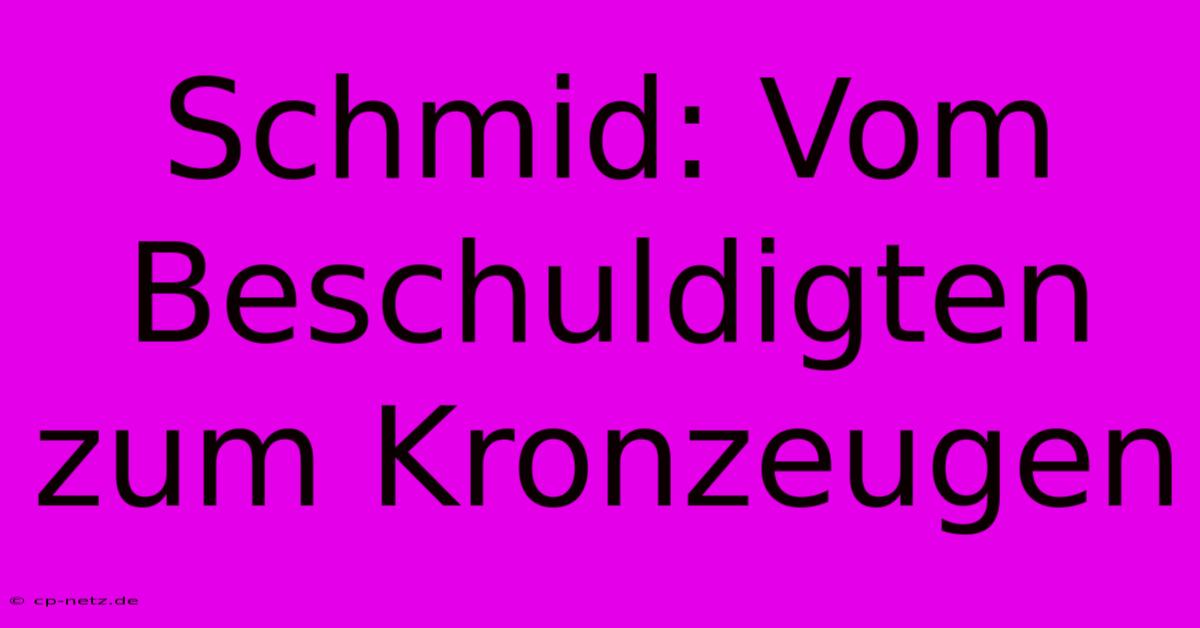 Schmid: Vom Beschuldigten Zum Kronzeugen