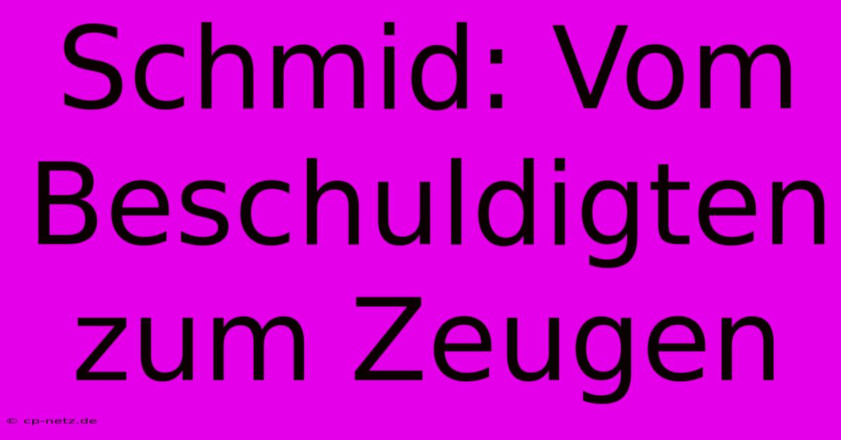 Schmid: Vom Beschuldigten Zum Zeugen