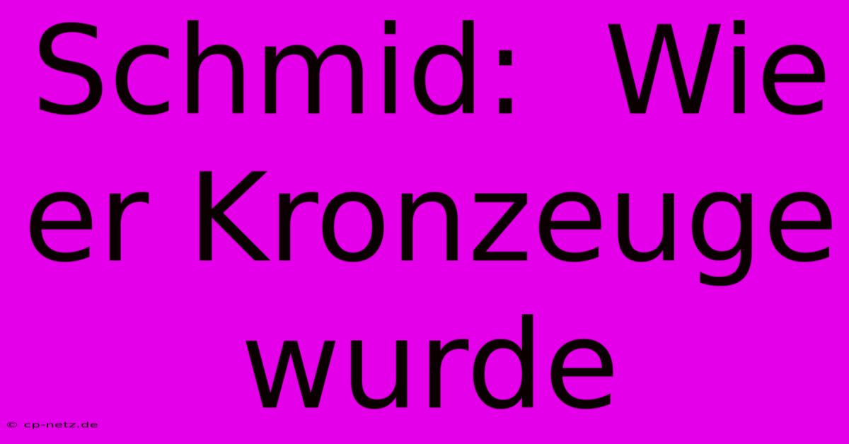 Schmid:  Wie Er Kronzeuge Wurde