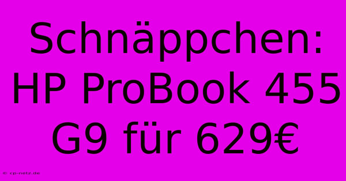 Schnäppchen: HP ProBook 455 G9 Für 629€