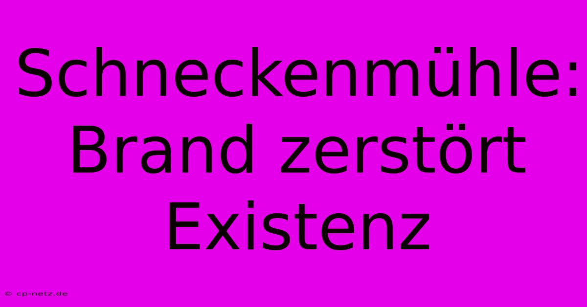 Schneckenmühle: Brand Zerstört Existenz