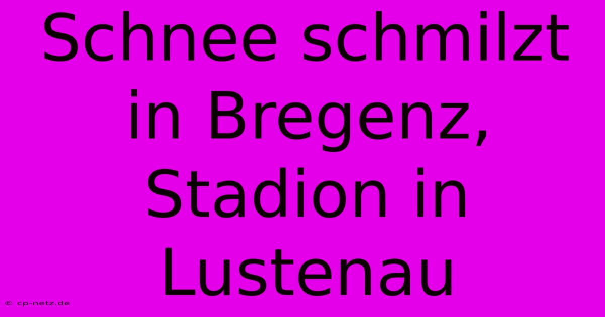 Schnee Schmilzt In Bregenz, Stadion In Lustenau