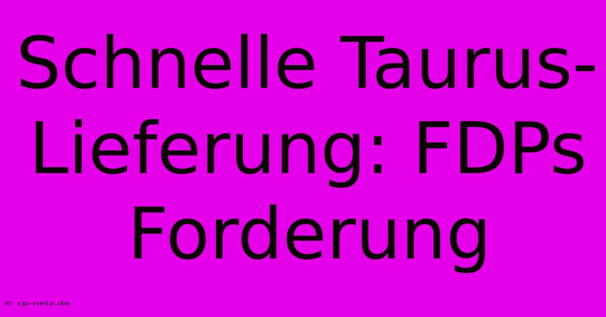 Schnelle Taurus-Lieferung: FDPs Forderung