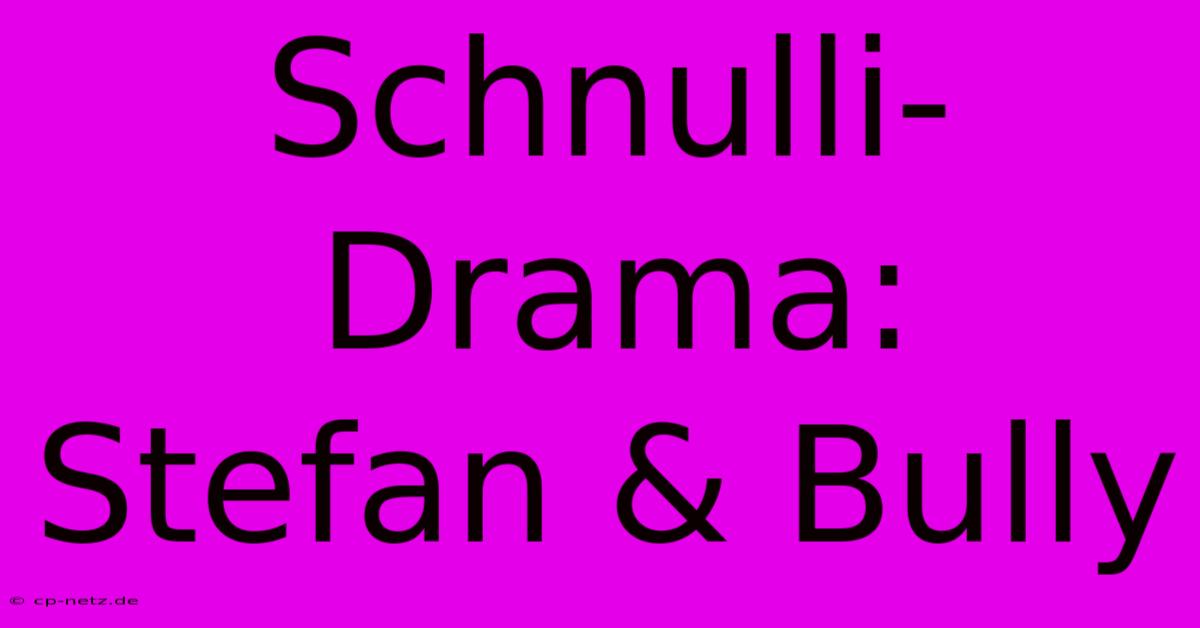 Schnulli-Drama: Stefan & Bully