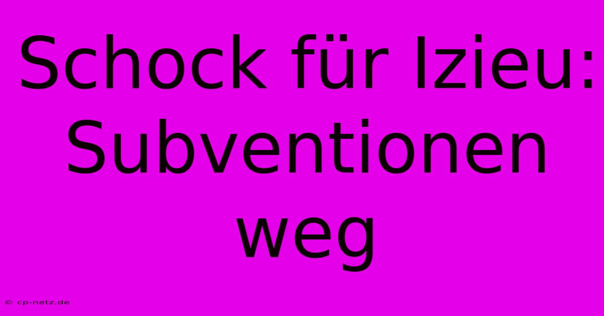 Schock Für Izieu: Subventionen Weg