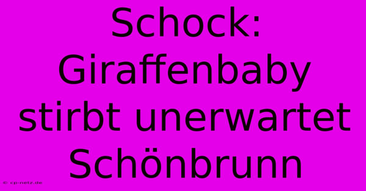 Schock: Giraffenbaby Stirbt Unerwartet Schönbrunn