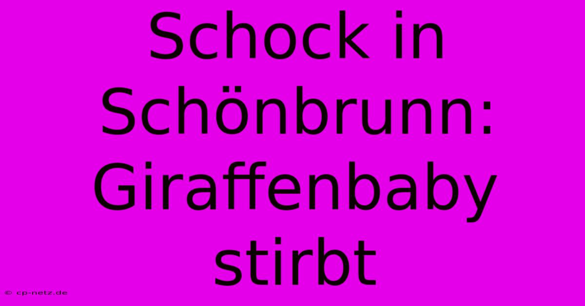 Schock In Schönbrunn: Giraffenbaby Stirbt