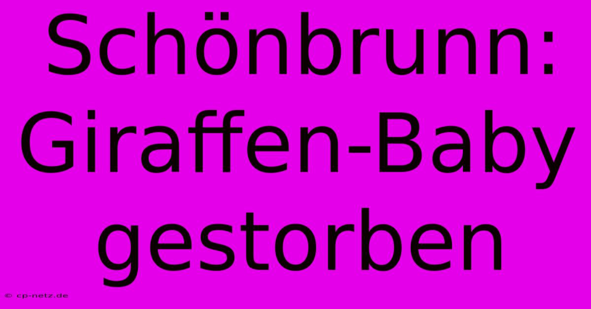 Schönbrunn: Giraffen-Baby Gestorben