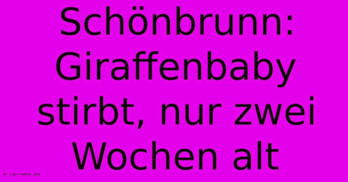 Schönbrunn: Giraffenbaby Stirbt, Nur Zwei Wochen Alt