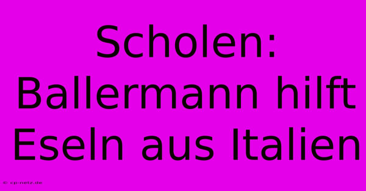 Scholen: Ballermann Hilft Eseln Aus Italien