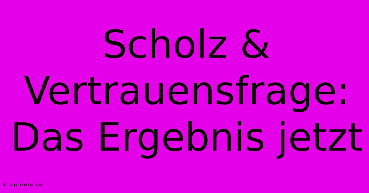 Scholz & Vertrauensfrage: Das Ergebnis Jetzt