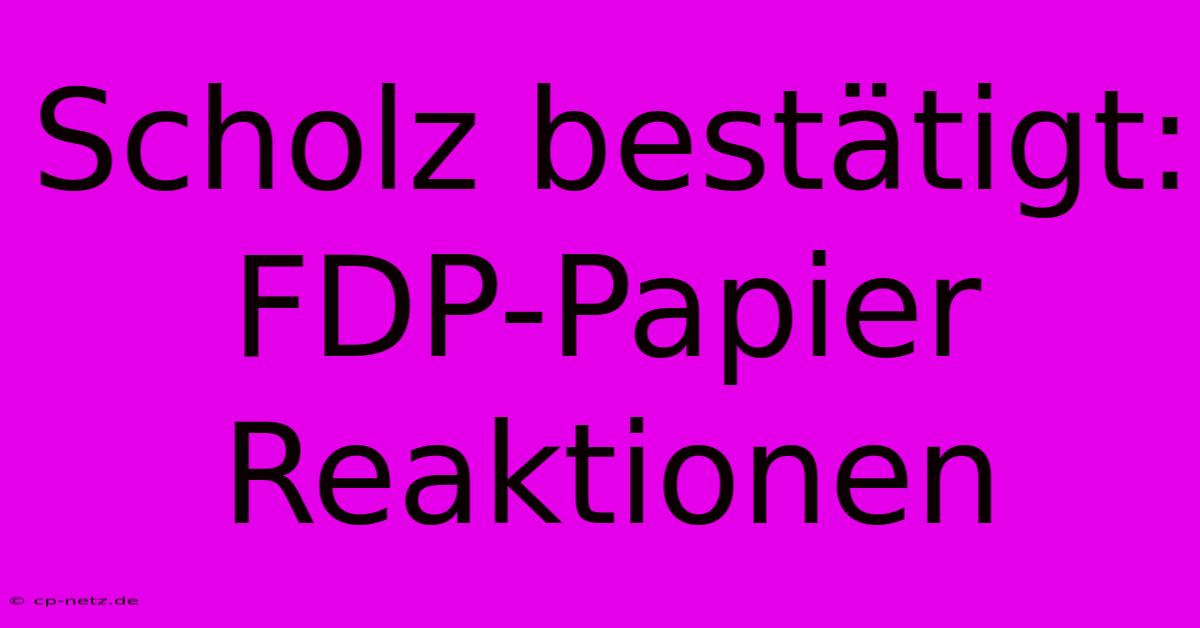 Scholz Bestätigt: FDP-Papier Reaktionen