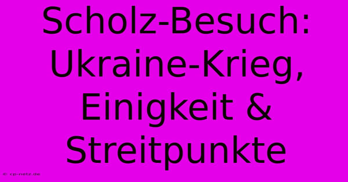 Scholz-Besuch: Ukraine-Krieg, Einigkeit & Streitpunkte