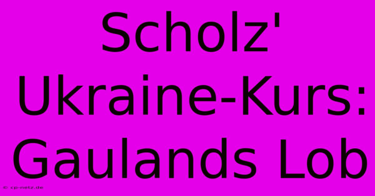 Scholz' Ukraine-Kurs: Gaulands Lob