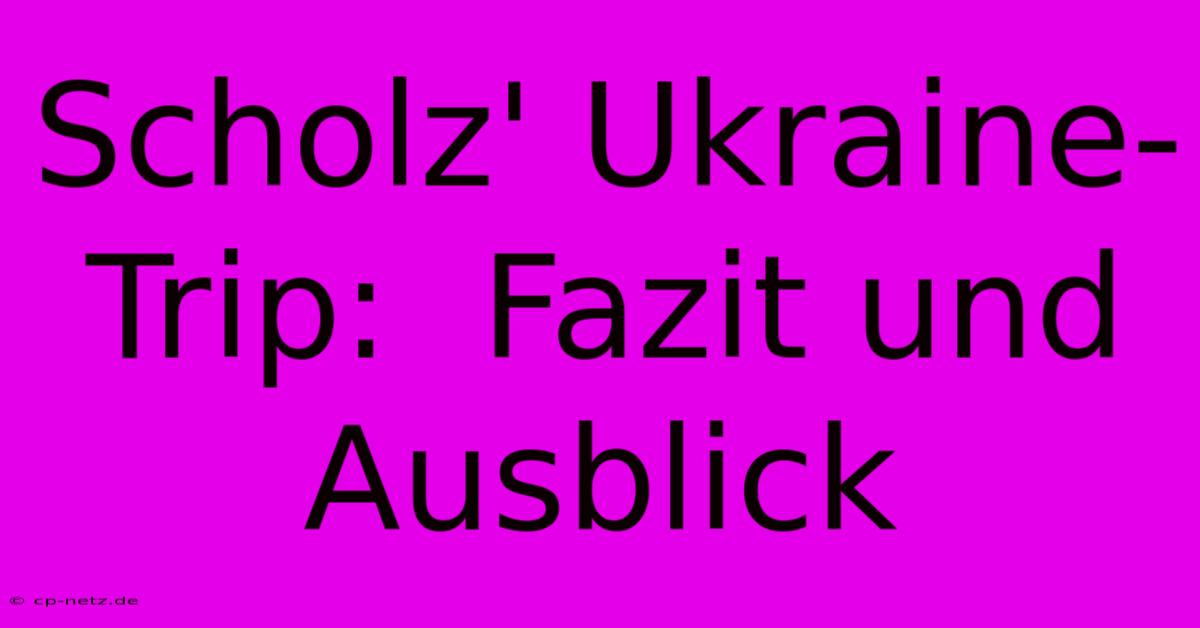 Scholz' Ukraine-Trip:  Fazit Und Ausblick