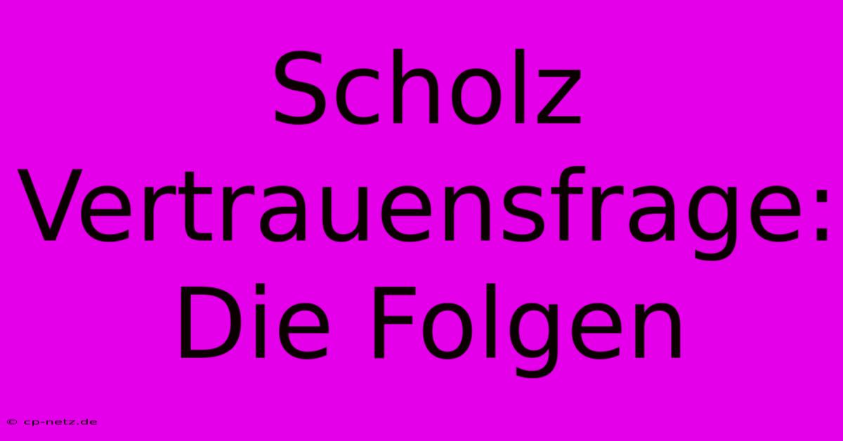 Scholz Vertrauensfrage: Die Folgen