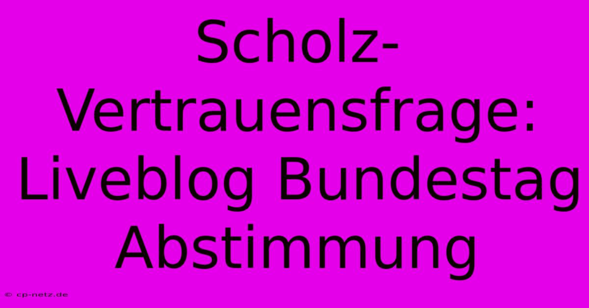 Scholz-Vertrauensfrage: Liveblog Bundestag Abstimmung