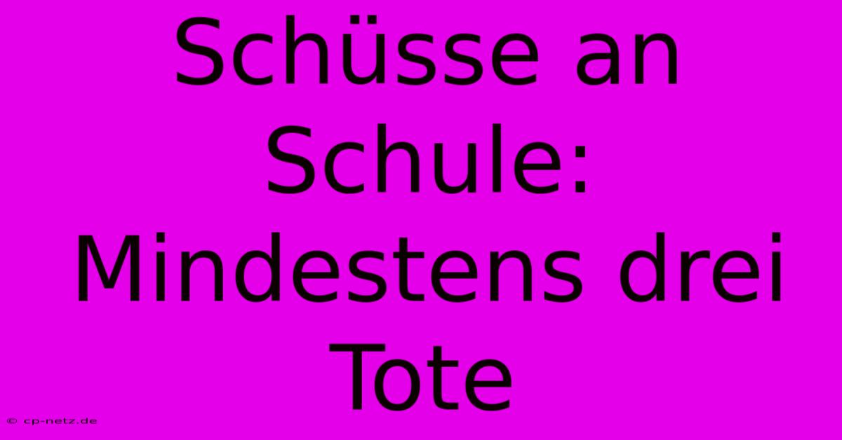 Schüsse An Schule: Mindestens Drei Tote