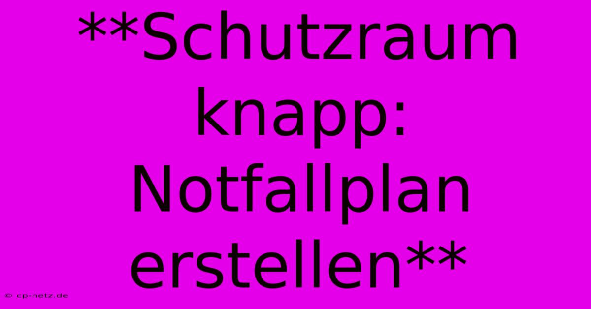 **Schutzraum Knapp: Notfallplan Erstellen**