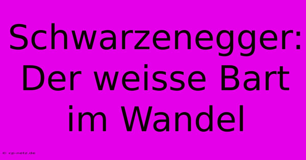 Schwarzenegger: Der Weisse Bart Im Wandel